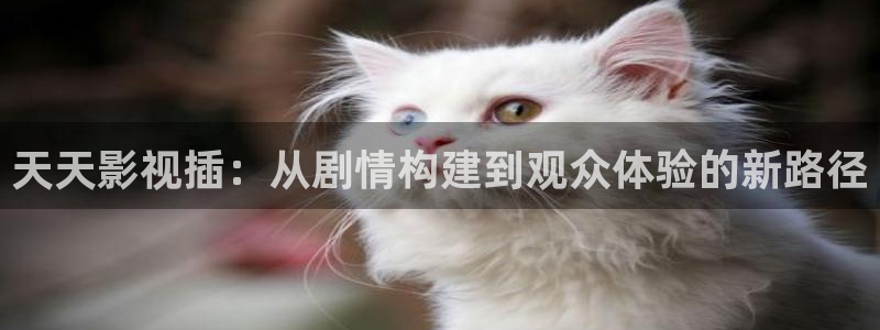 国产午夜电影一区二区