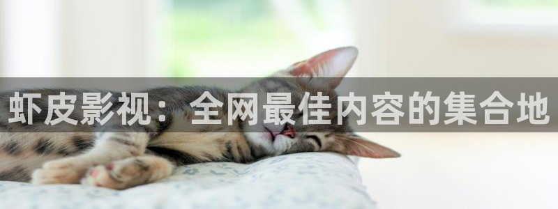 成人午夜电影高清