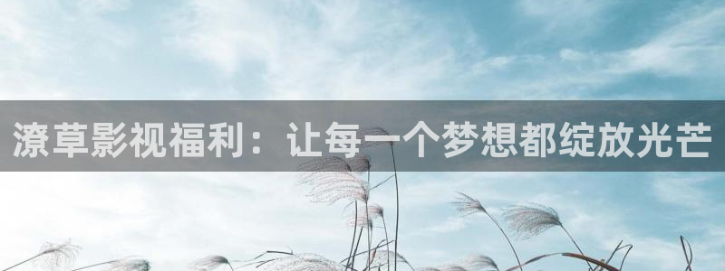 兔兔达午夜影院